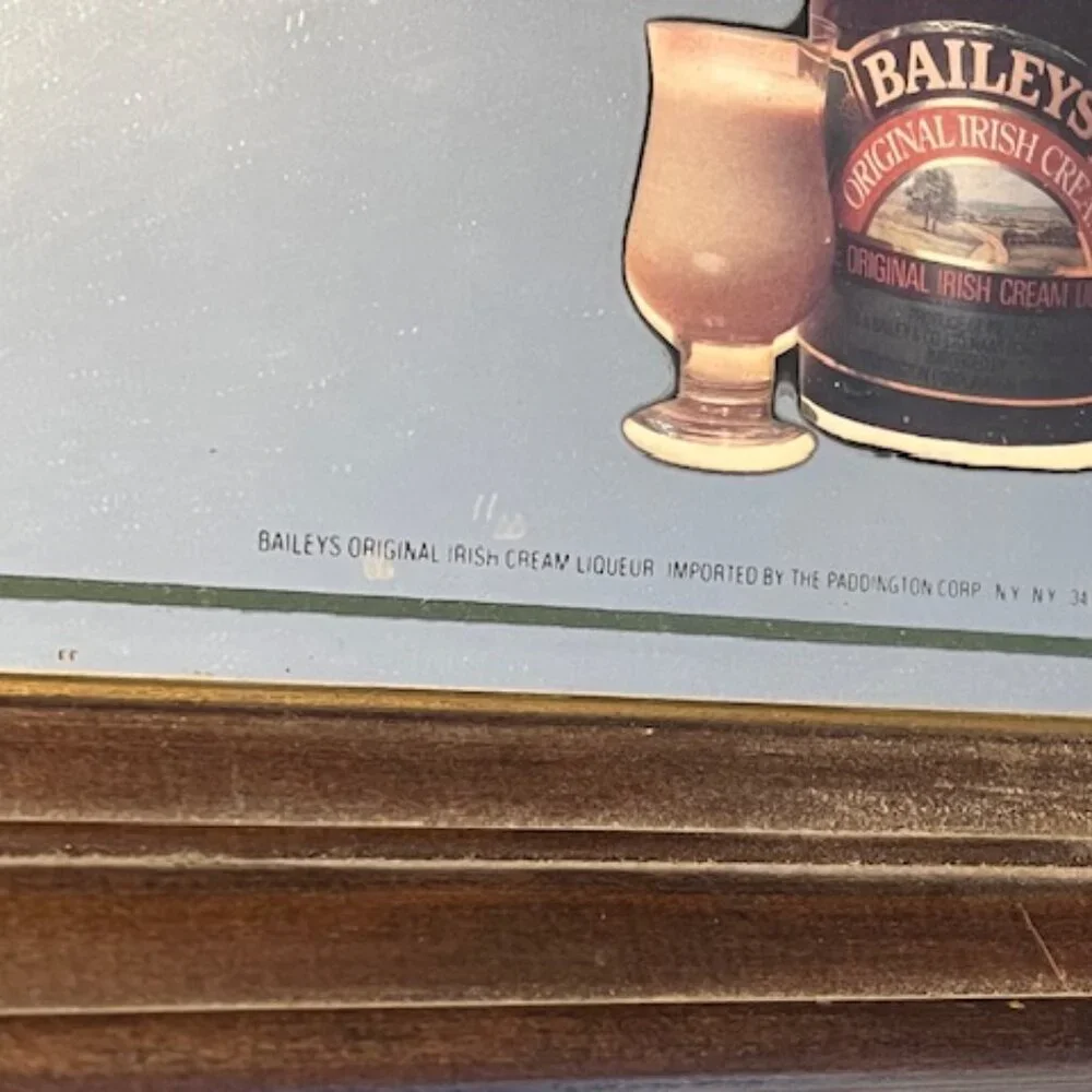 Vintage - RARE Framed Bailey's Irish Name Mirror Map featuring Irish names